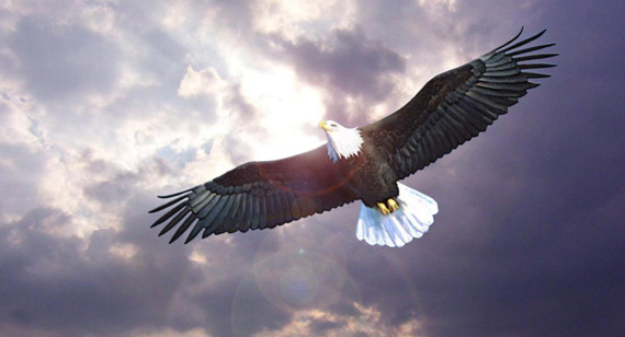 suncitygroup太阳集团·(中国)首页登录