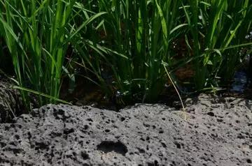 suncitygroup太阳集团·(中国)首页登录